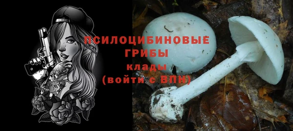 дурь Алзамай
